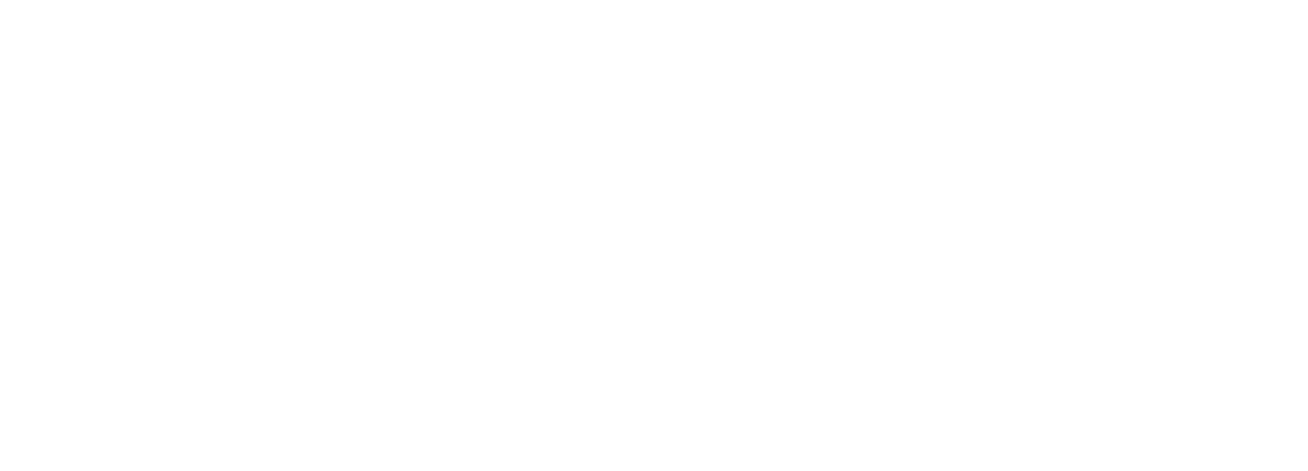 final flyfest (logo png) white